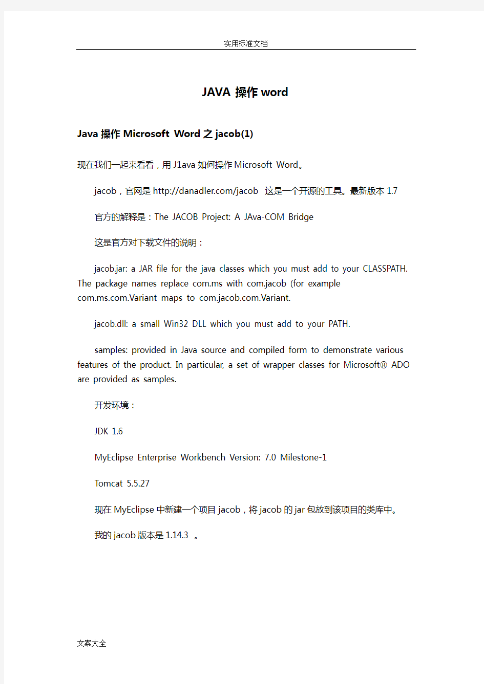 java操作word(内部资料)