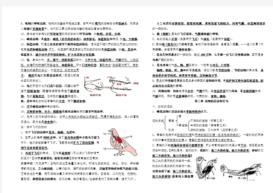 人教版 八年级 生物 上册 知识点归纳 完美版