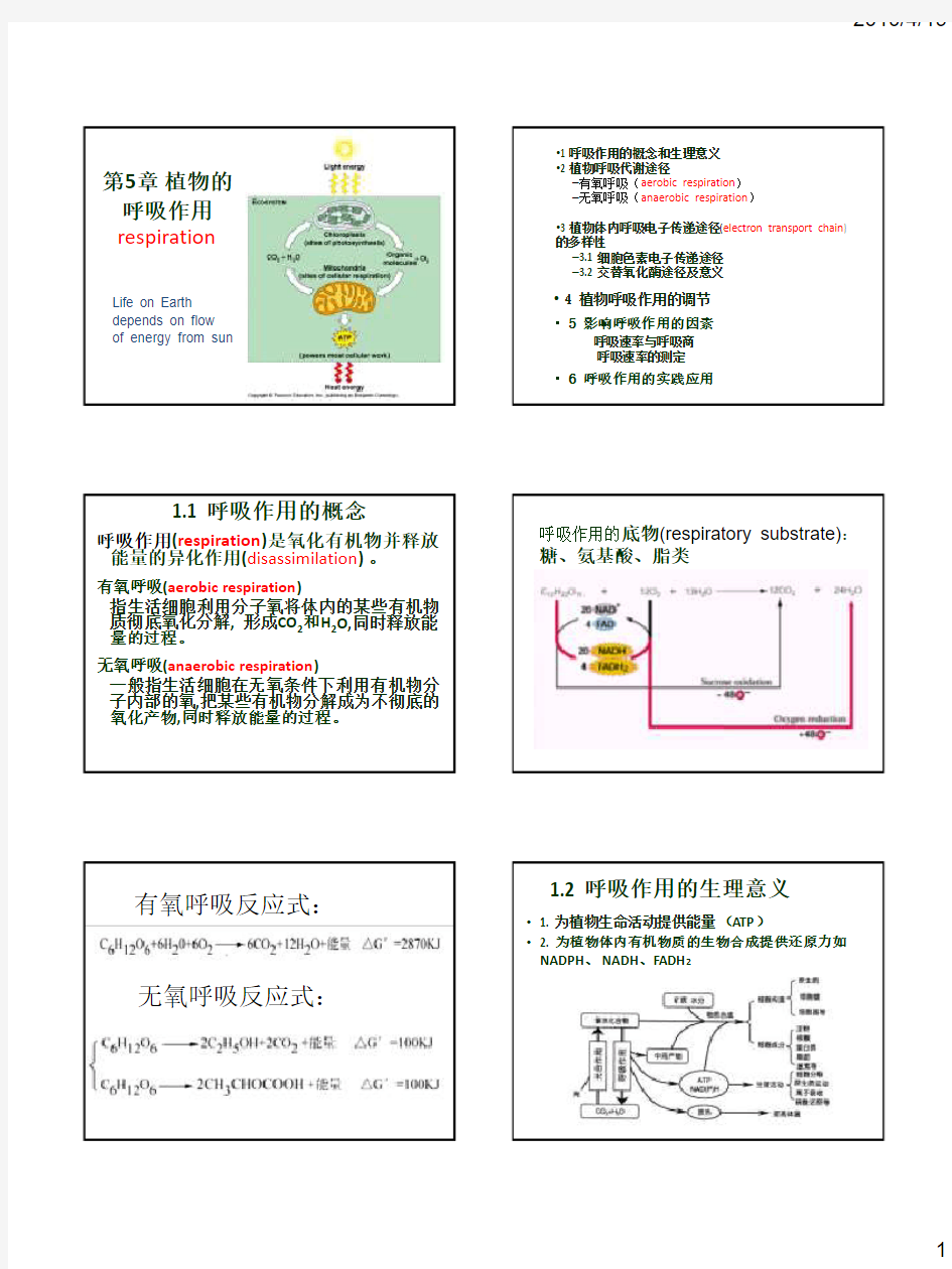 第五章 植物的呼吸作用