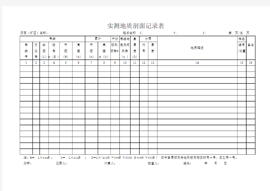 1.实测地质剖面记录表