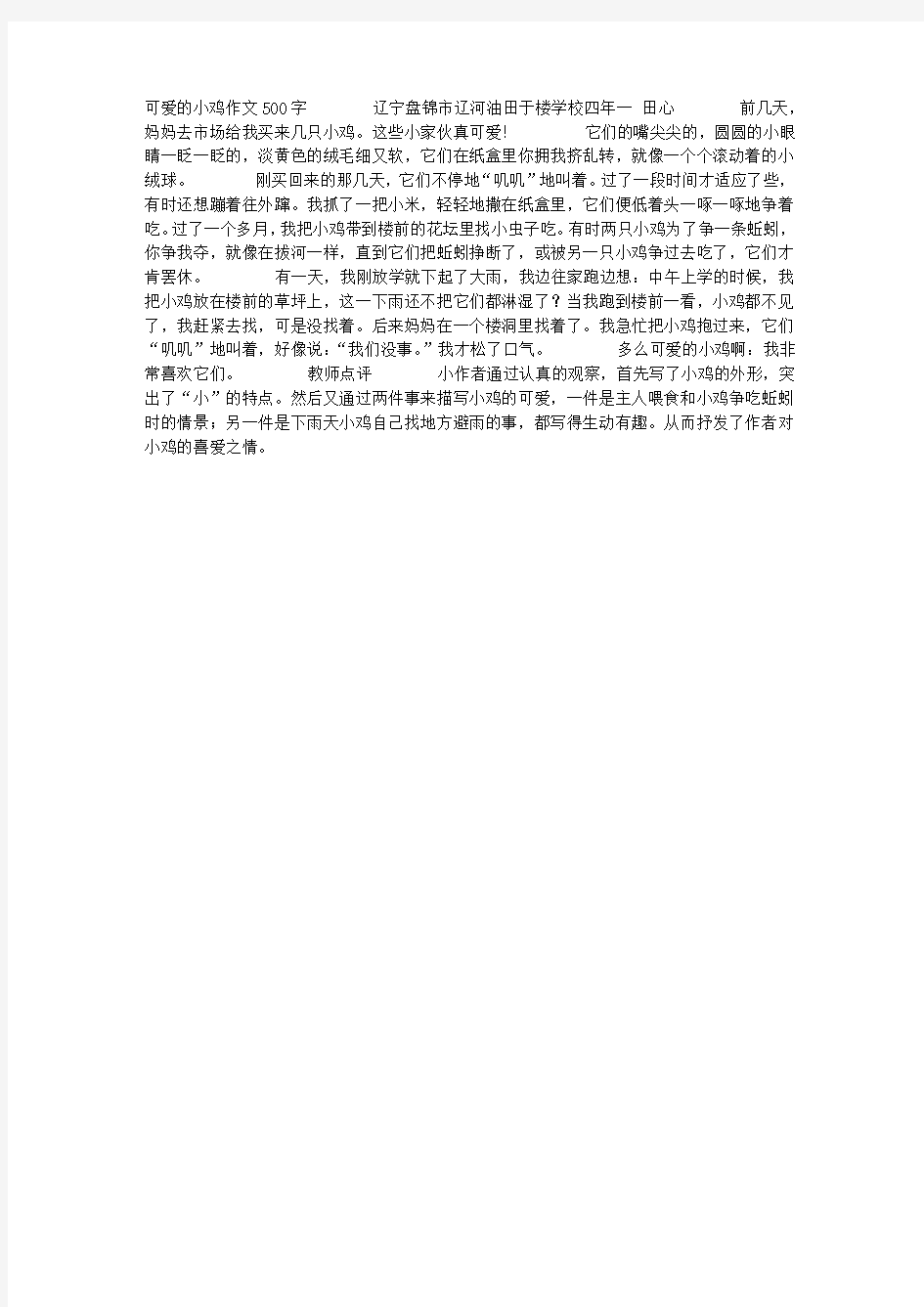 可爱的小鸡作文500字