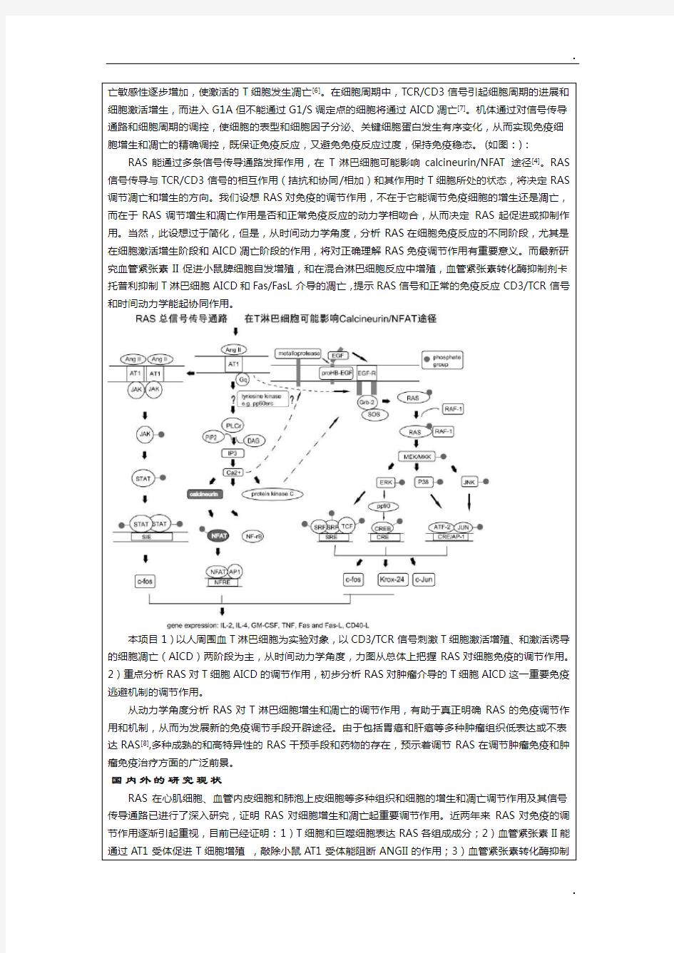 20026809肾素血管紧张素系统免疫调节机制及其对肿瘤免疫的