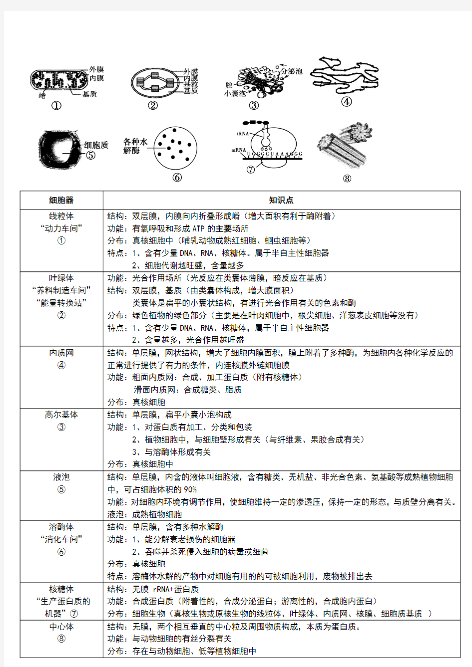 高中生物细胞器知识点及图示整理(王进传原创)