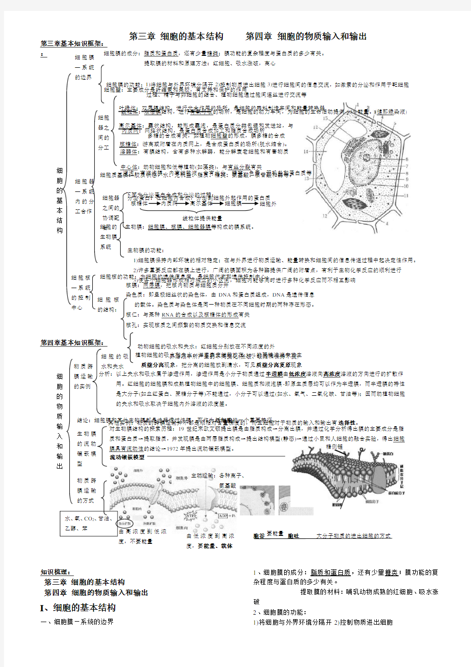 高中生物必修一第1至4章知识点汇总
