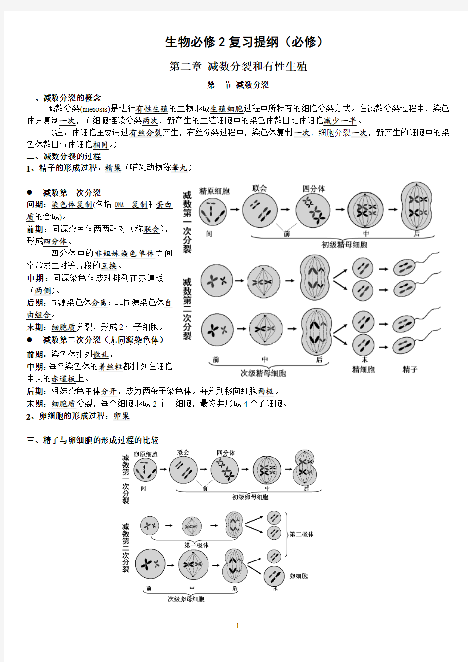 苏教版高中生物必修二