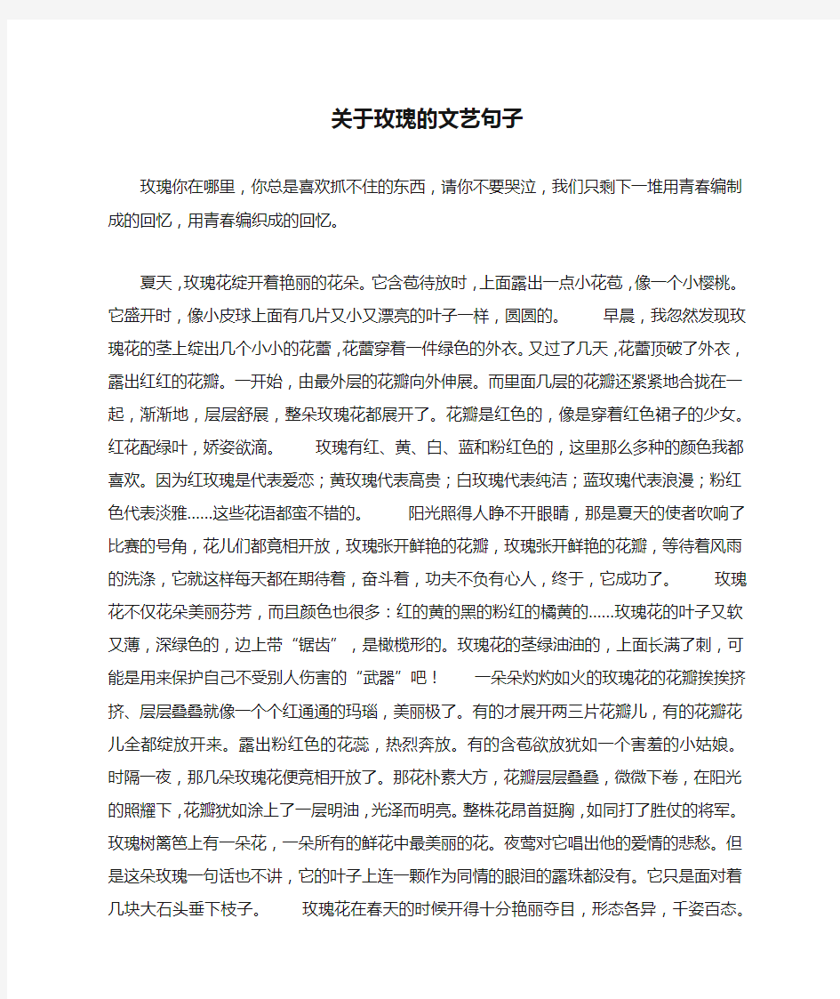 关于玫瑰的文艺句子_1