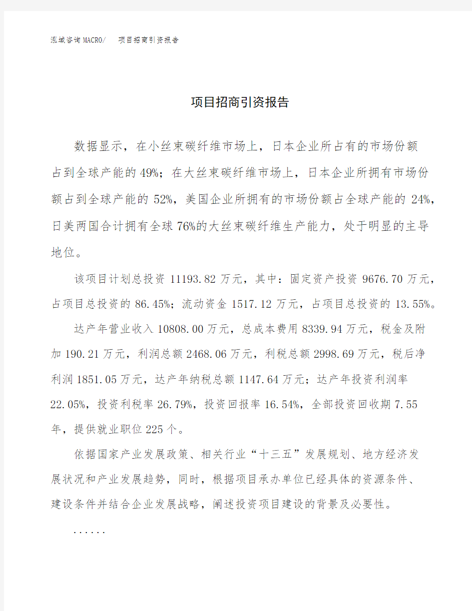 项目招商引资报告