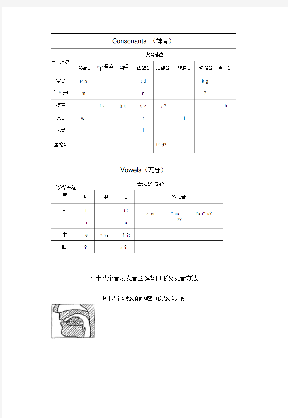 国际音标发音舌位图