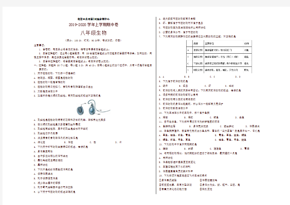 2019-2020学年八年级生物上学期期中考试卷(考试版)-最新