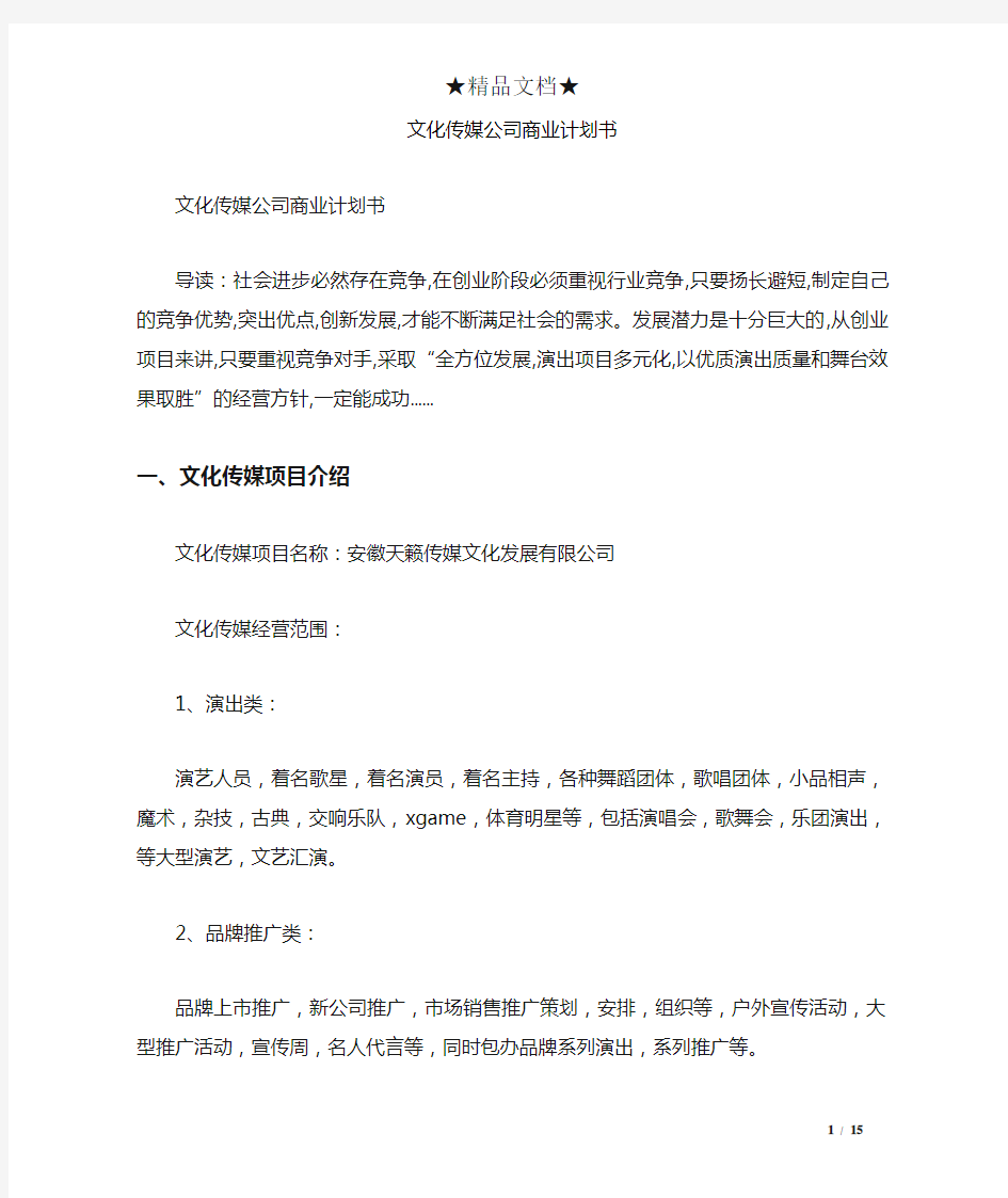 文化传媒公司商业计划书