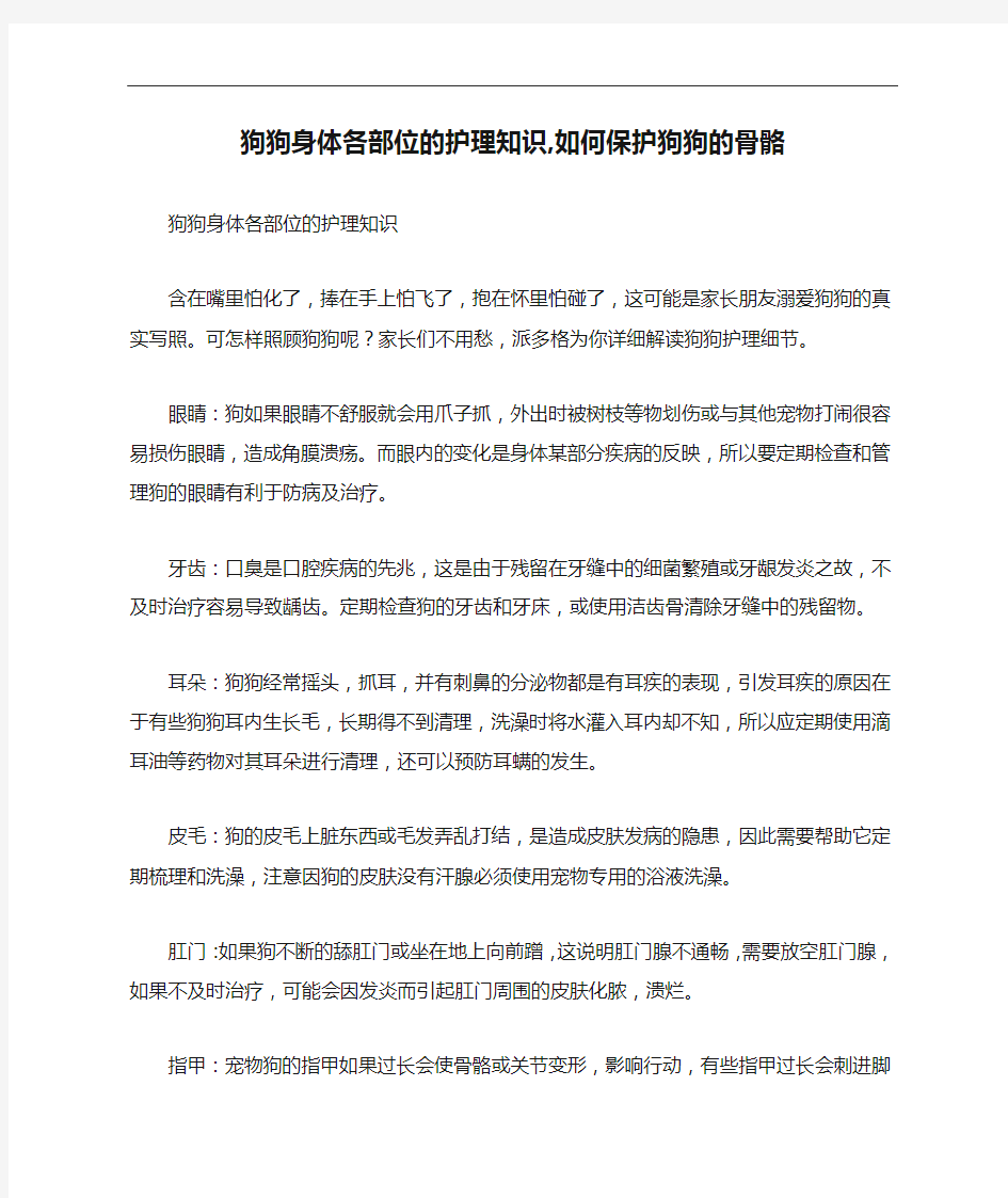 狗狗身体各部位的护理知识,如何保护狗狗的骨骼