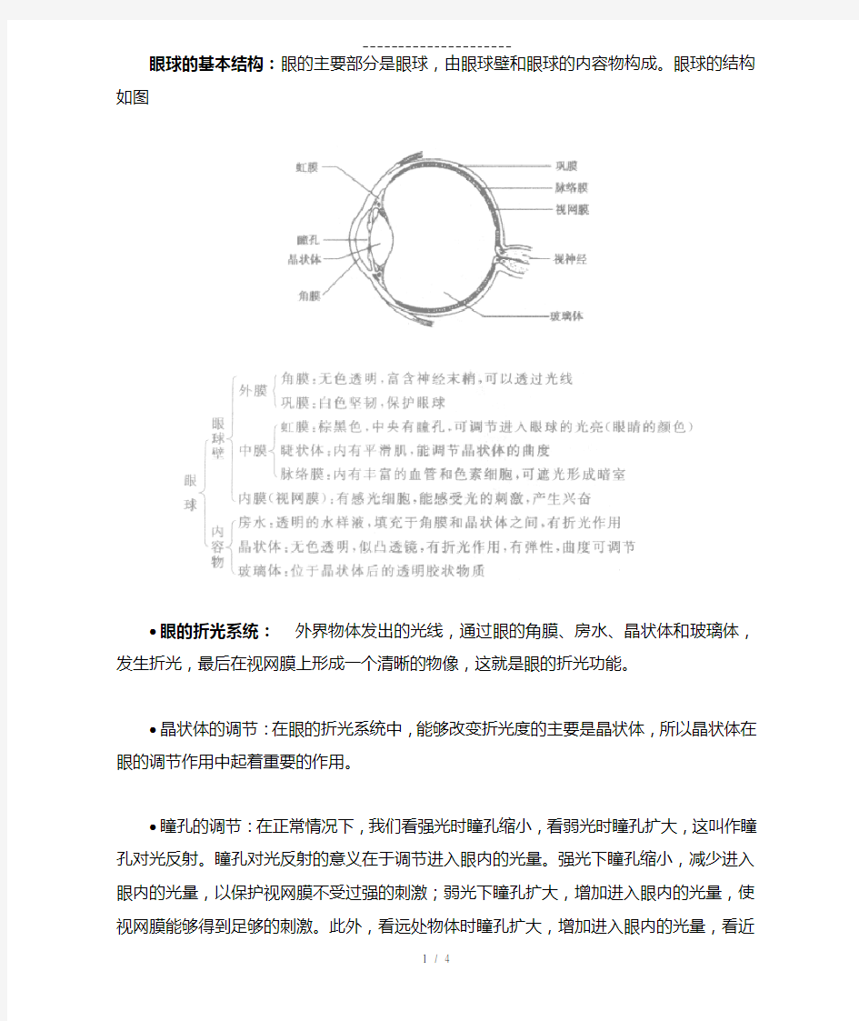 眼球的基本结构