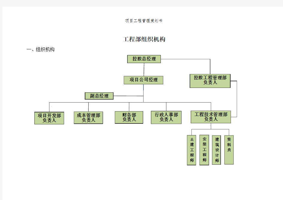 项目工程管理策划书