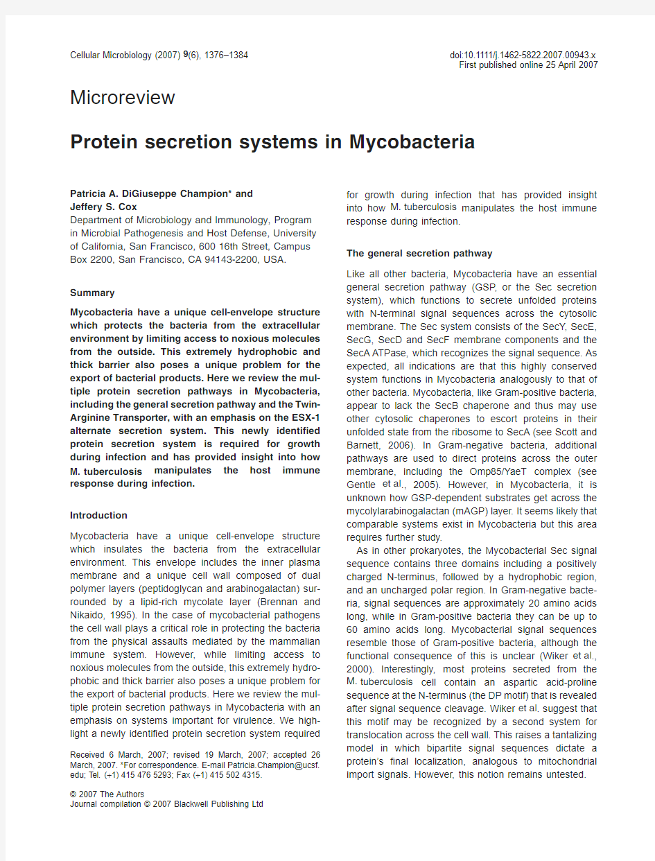 Protein secretion systems in Mycobacteria