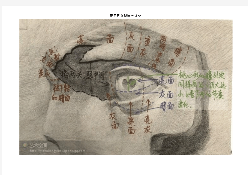 素描五官塑造分析图,快速学素描