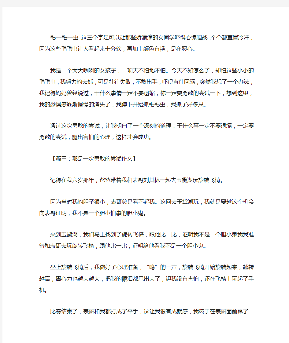 那是一次勇敢的尝试作文6篇