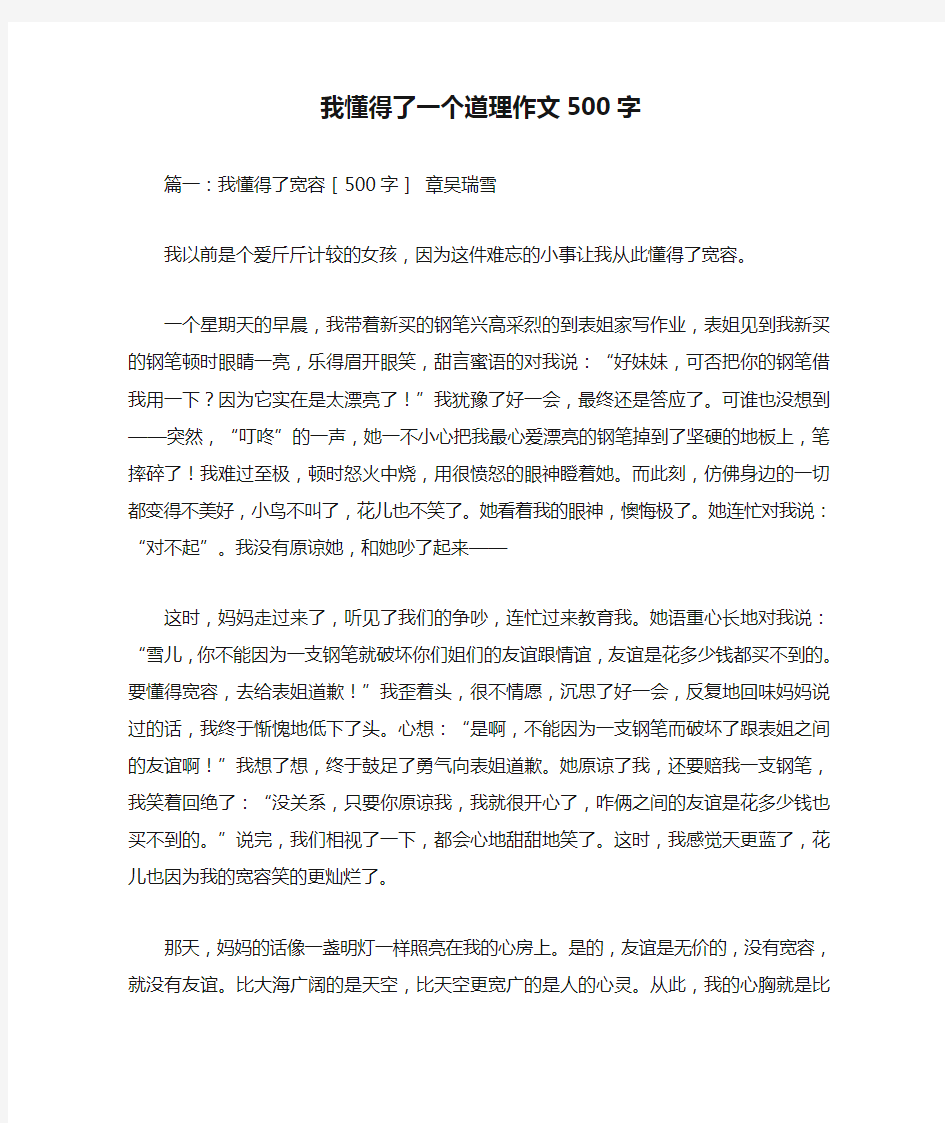 我懂得了一个道理作文500字