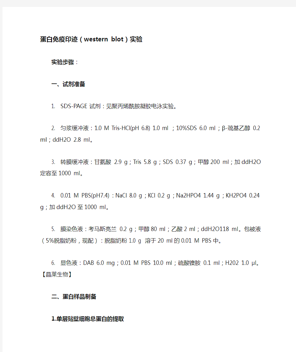 (完整版)蛋白免疫印迹(westernblot)实验