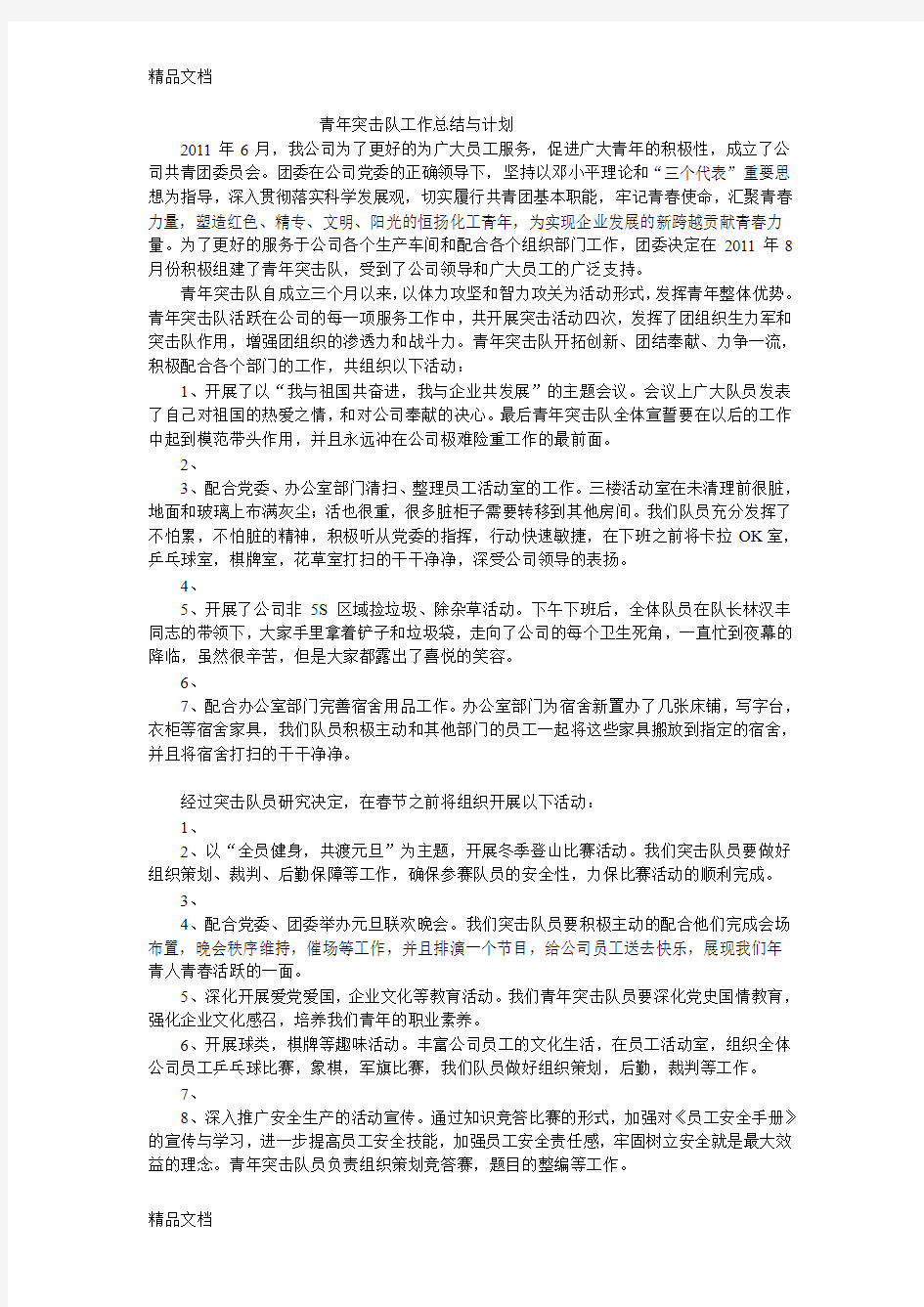 最新青年突击队工作总结与计划