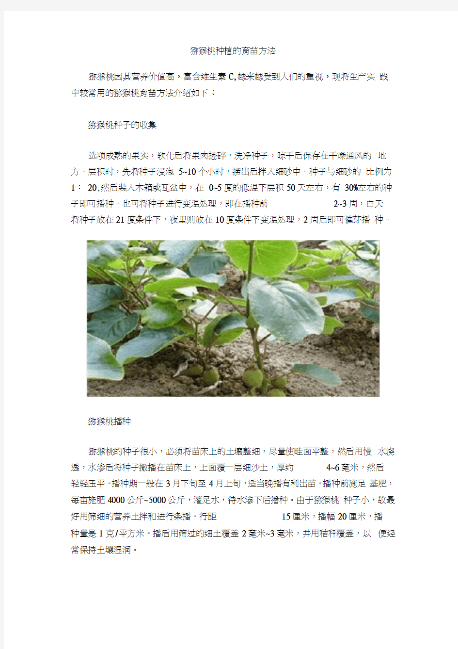 猕猴桃种植的育苗方法(20210201155754)