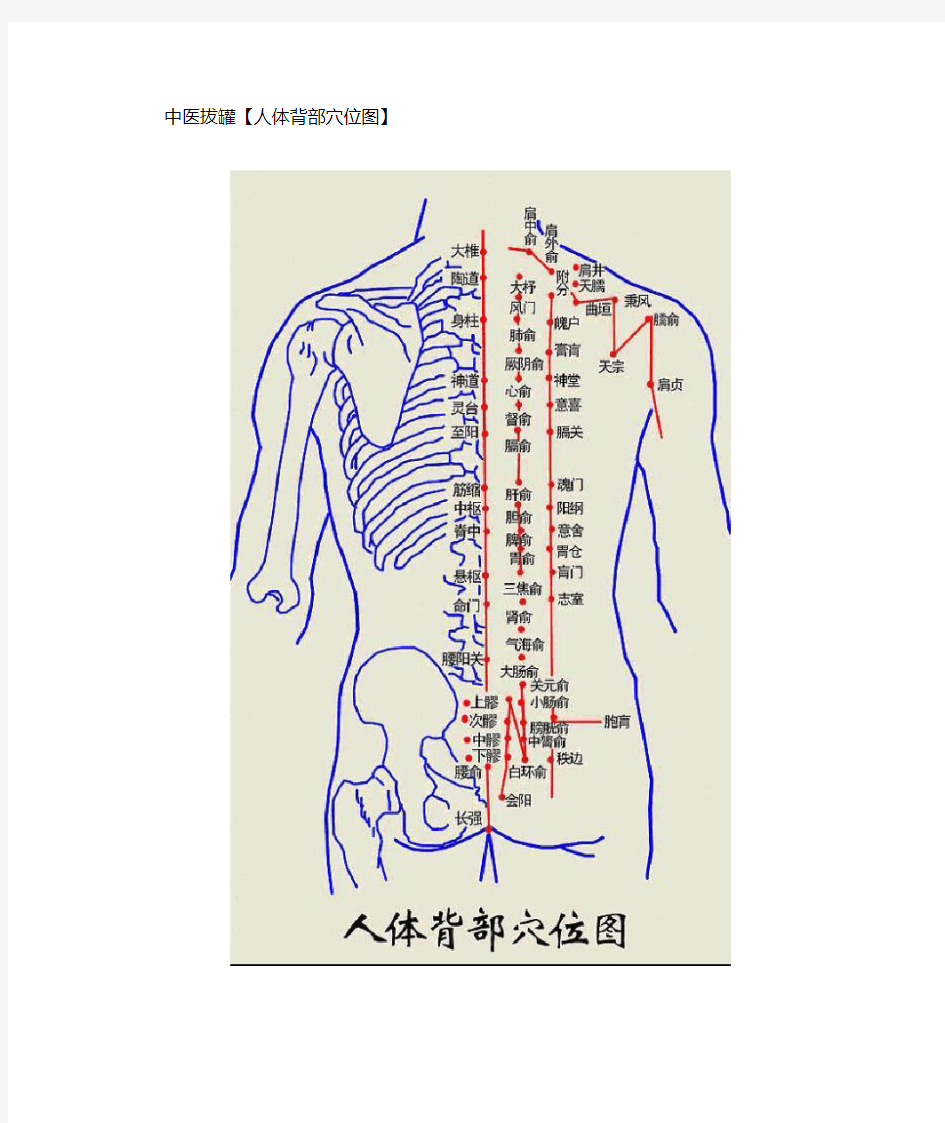 拔罐穴位图