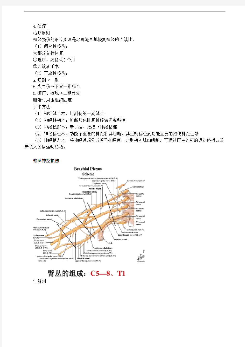 周围神经损伤考点总结