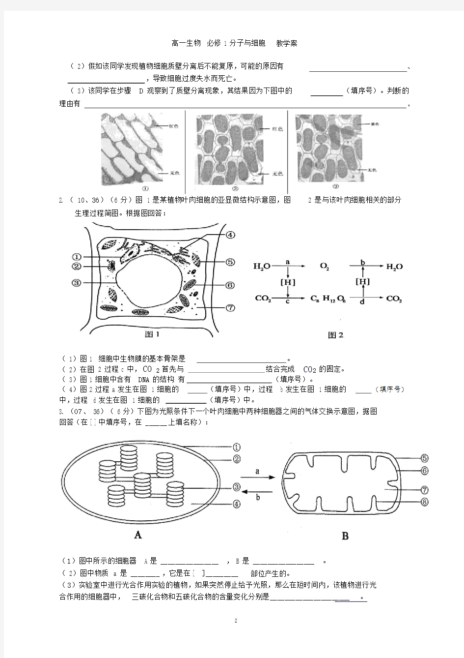 高中生物1分子与细胞期末复习专项练习简答题讲解.doc