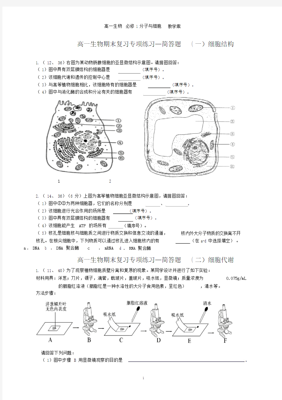 高中生物1分子与细胞期末复习专项练习简答题讲解.doc