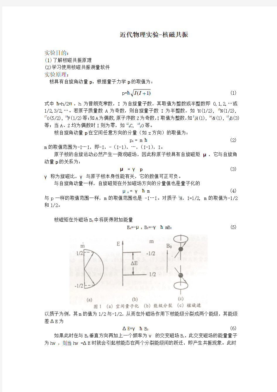 脉冲核磁共振实验