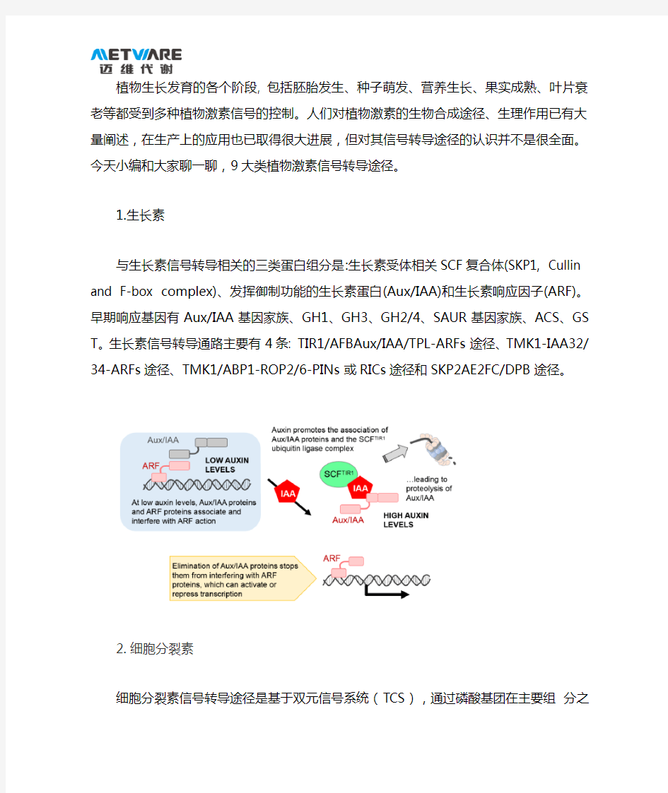 植物激素信号转导途径简介