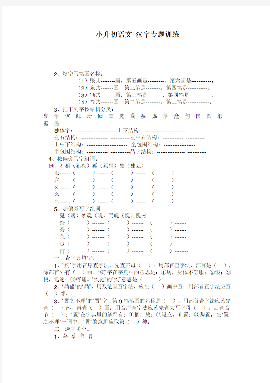 小升初语文专项练习 汉字