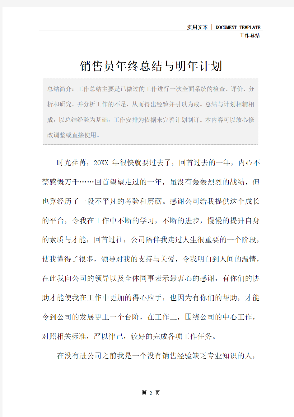 销售员年终总结与明年计划