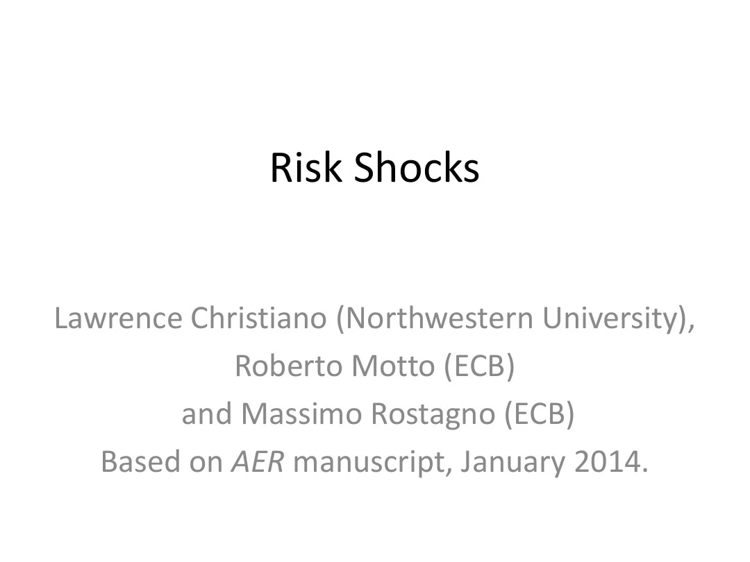 6Risk Shocks风险冲击