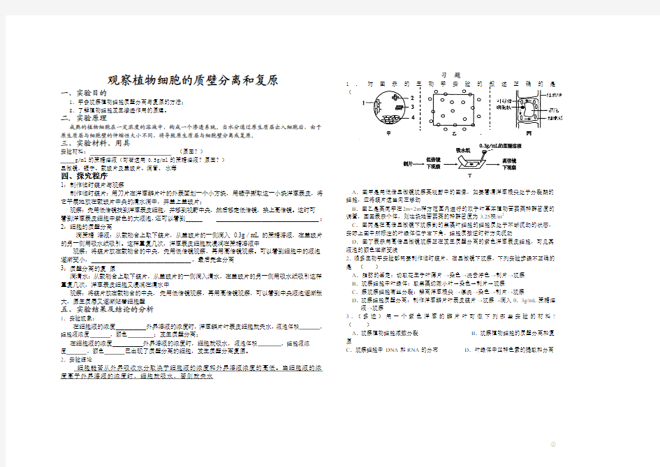 关于植物质壁分离与复原的实验报告单