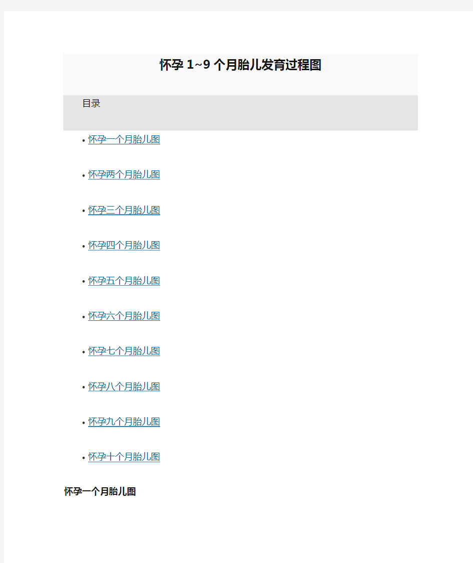 怀孕1~9个月胎儿发育过程图