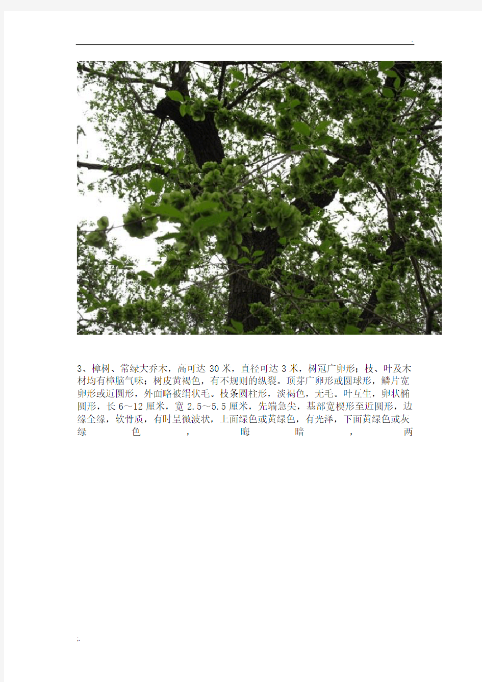 武汉地区常见园林植物