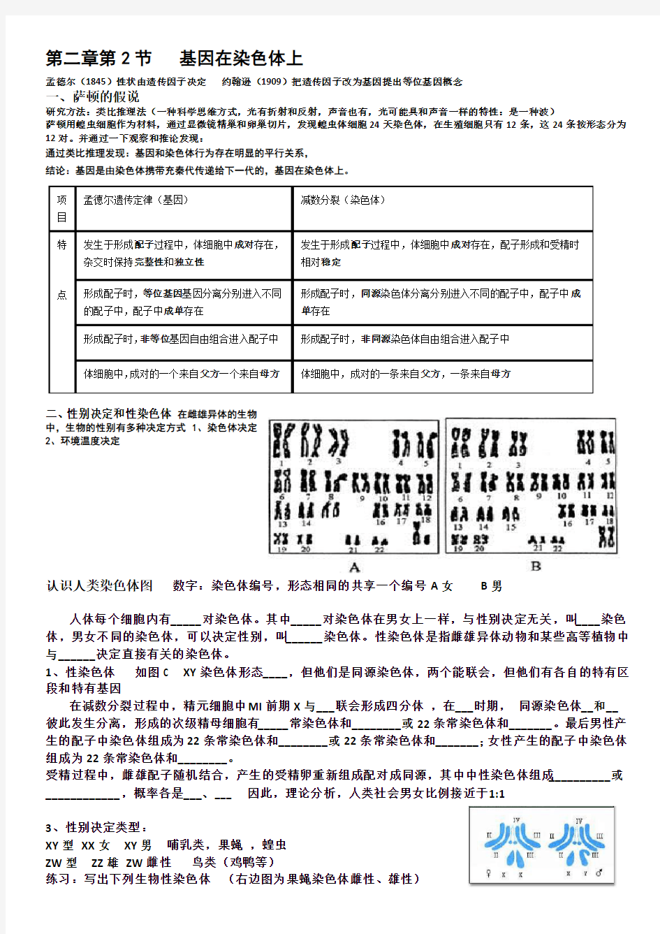 (完整版)基因在染色体上