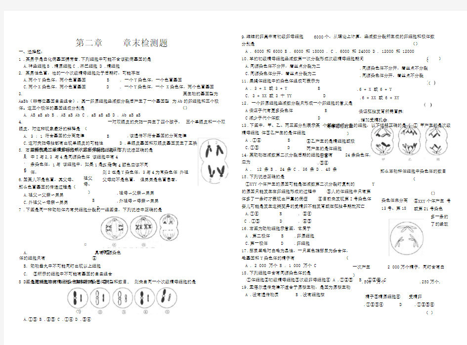 第二章章末检测题