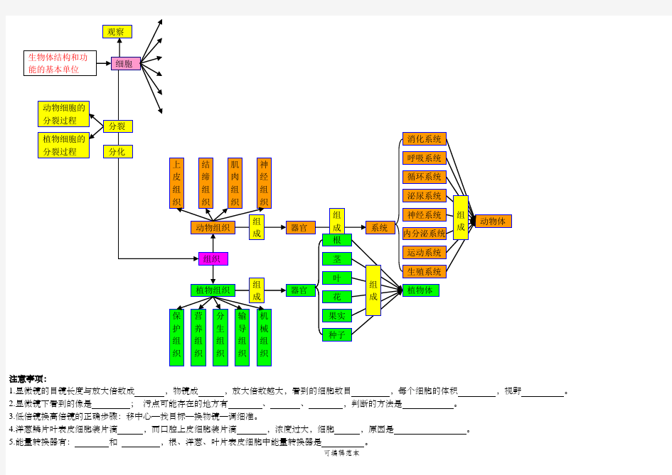 初中生物知识点结构网络图55238