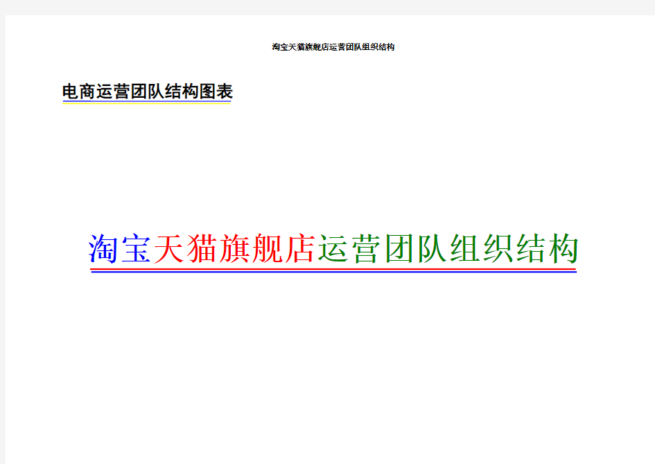 淘宝天猫旗舰店团队构成 电商团队架构
