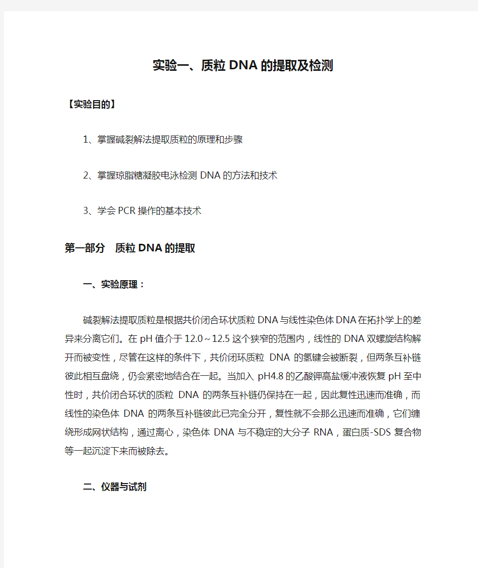 实验一、质粒DNA的提取及检测实验报告