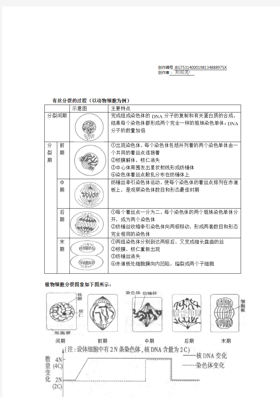 有丝分裂和减数分裂的过程和图像