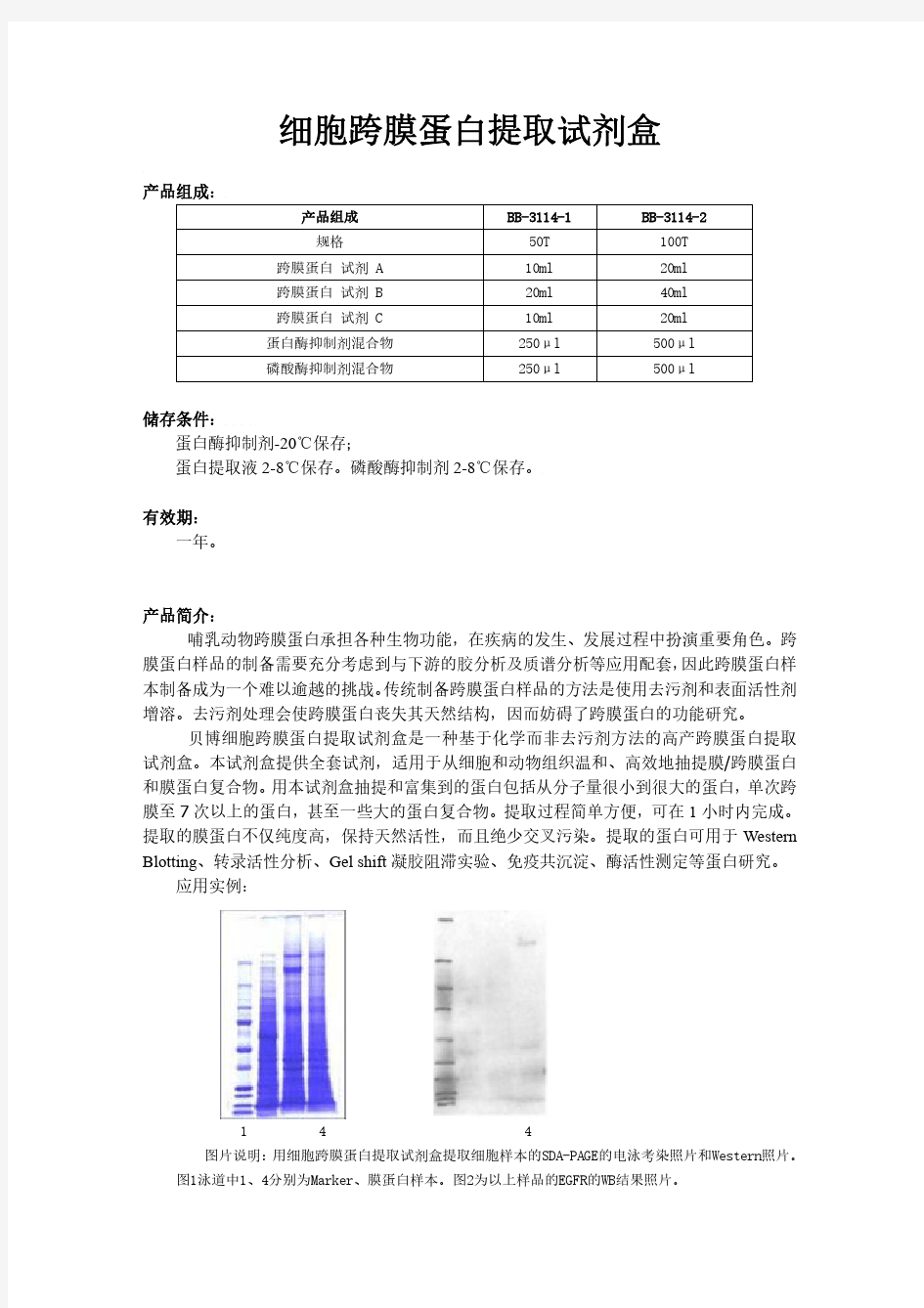 细胞跨膜蛋白提取方法