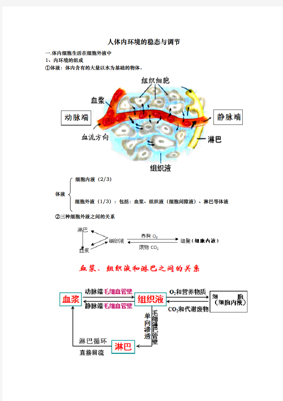 人体内环境的稳态与调节[知识点笔记]