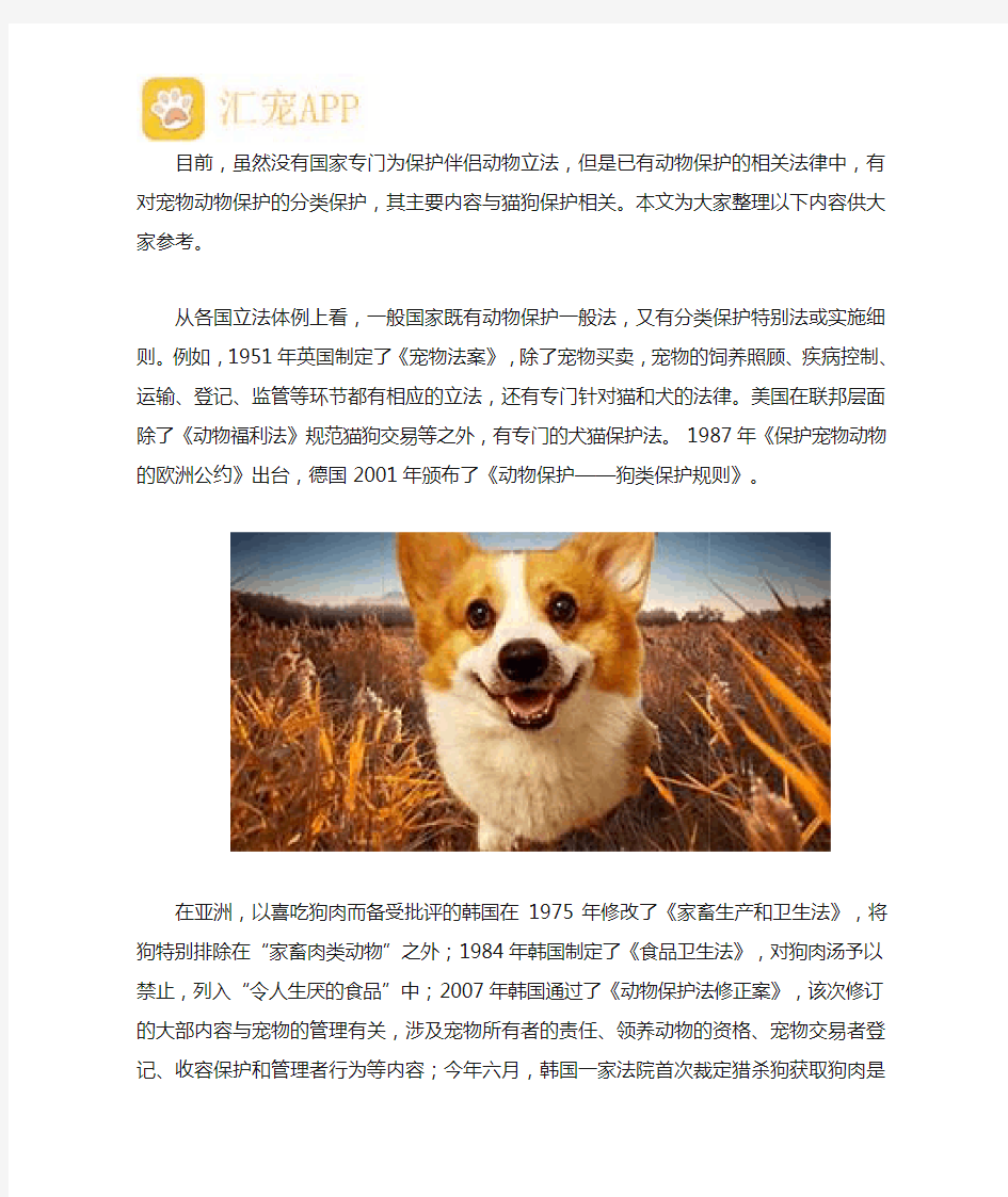 目前伴侣动物保护立法有哪些