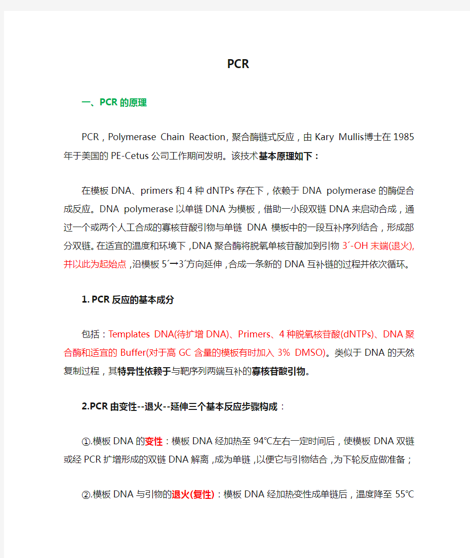 PCR原理及注意事项