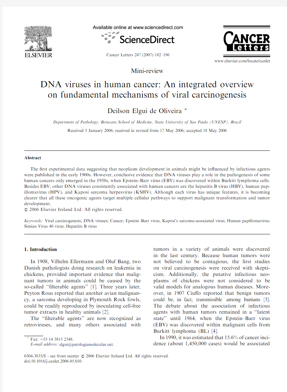 DNA virus and oncolgoy