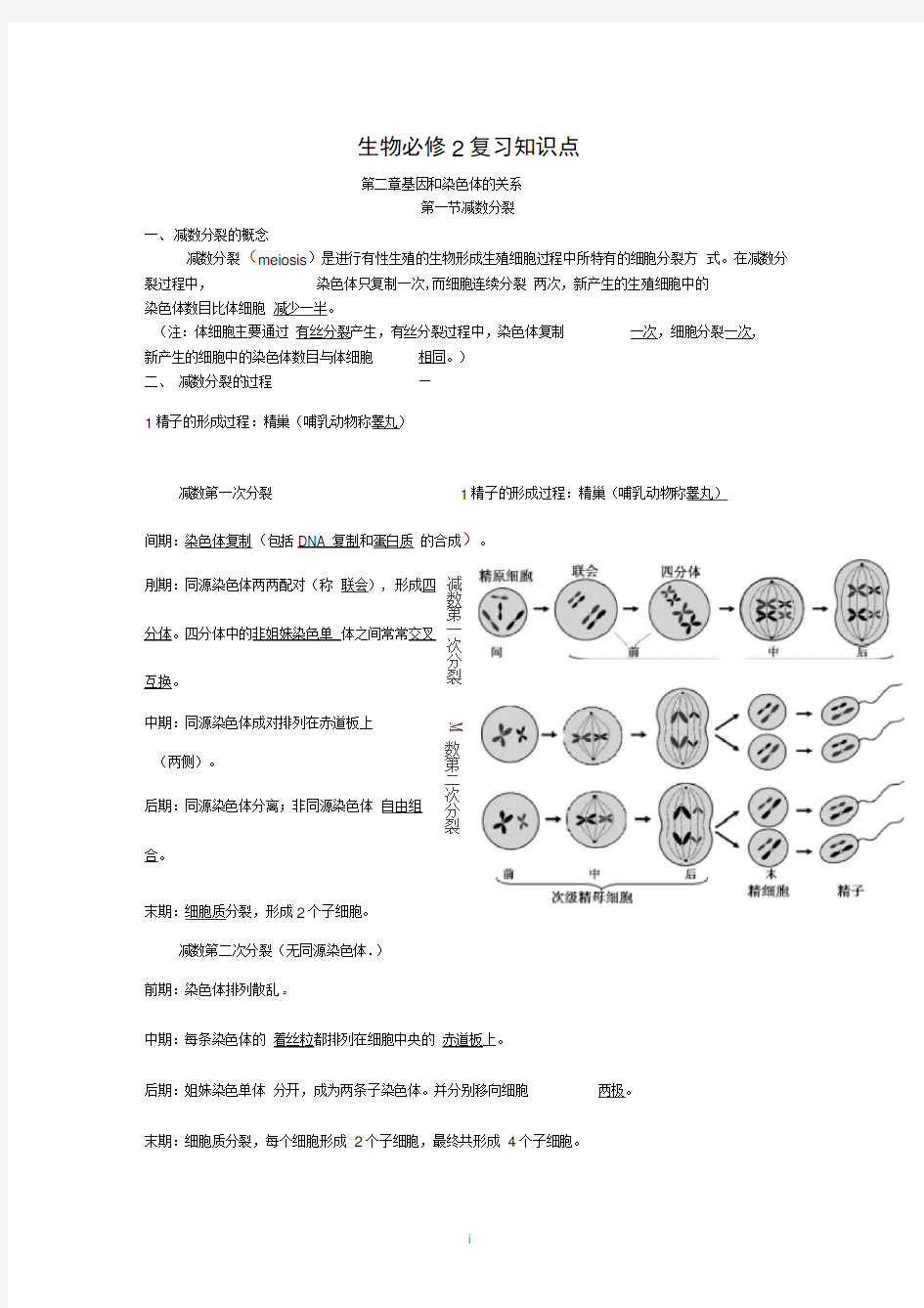 高中生物必修二知识点总结(精华版)