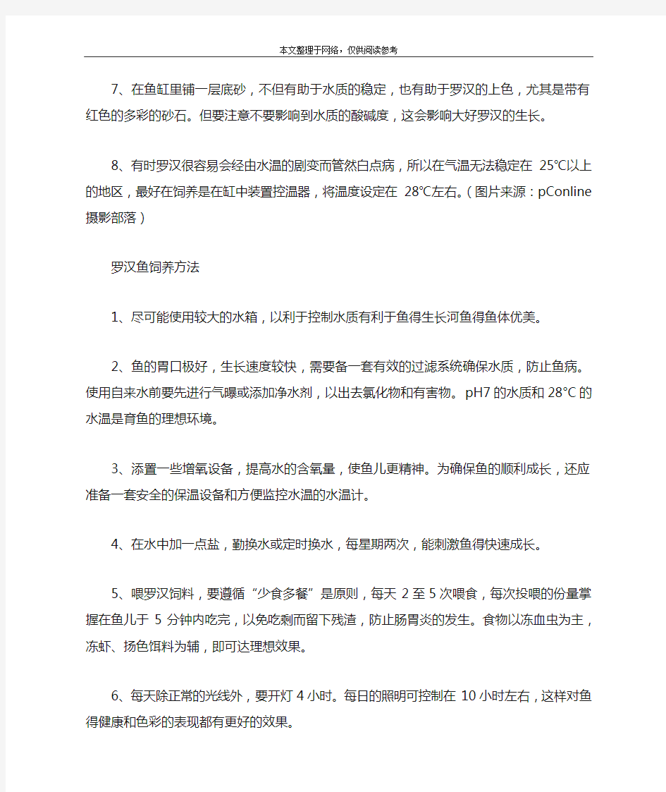 最正确的罗汉鱼饲养方法,罗汉鱼饲养方法