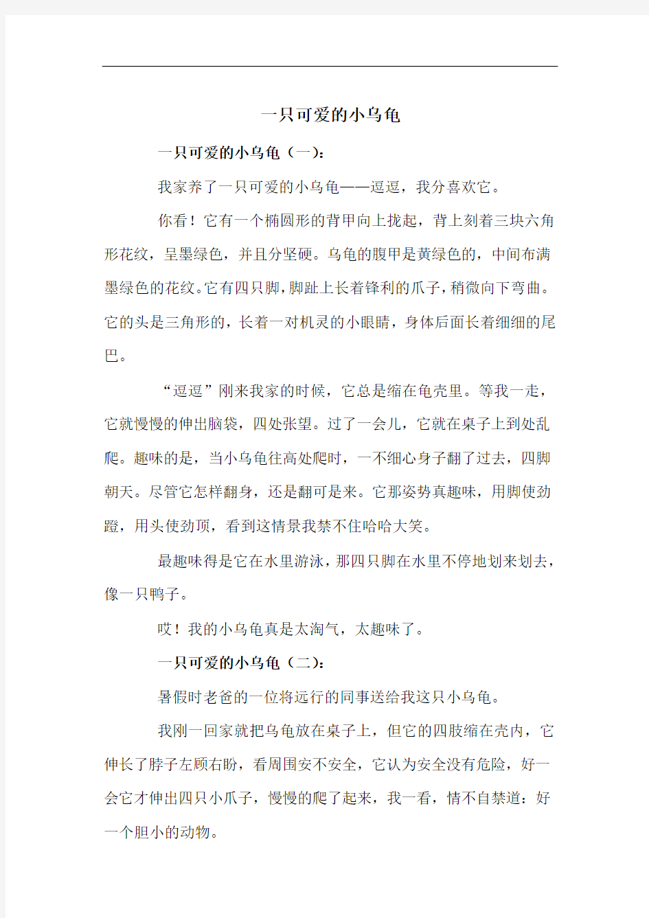 一只可爱的小乌龟